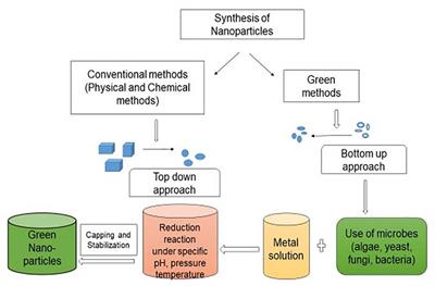 Exploration of Microbial Factories for Synthesis of Nanoparticles – A Sustainable Approach for Bioremediation of Environmental Contaminants